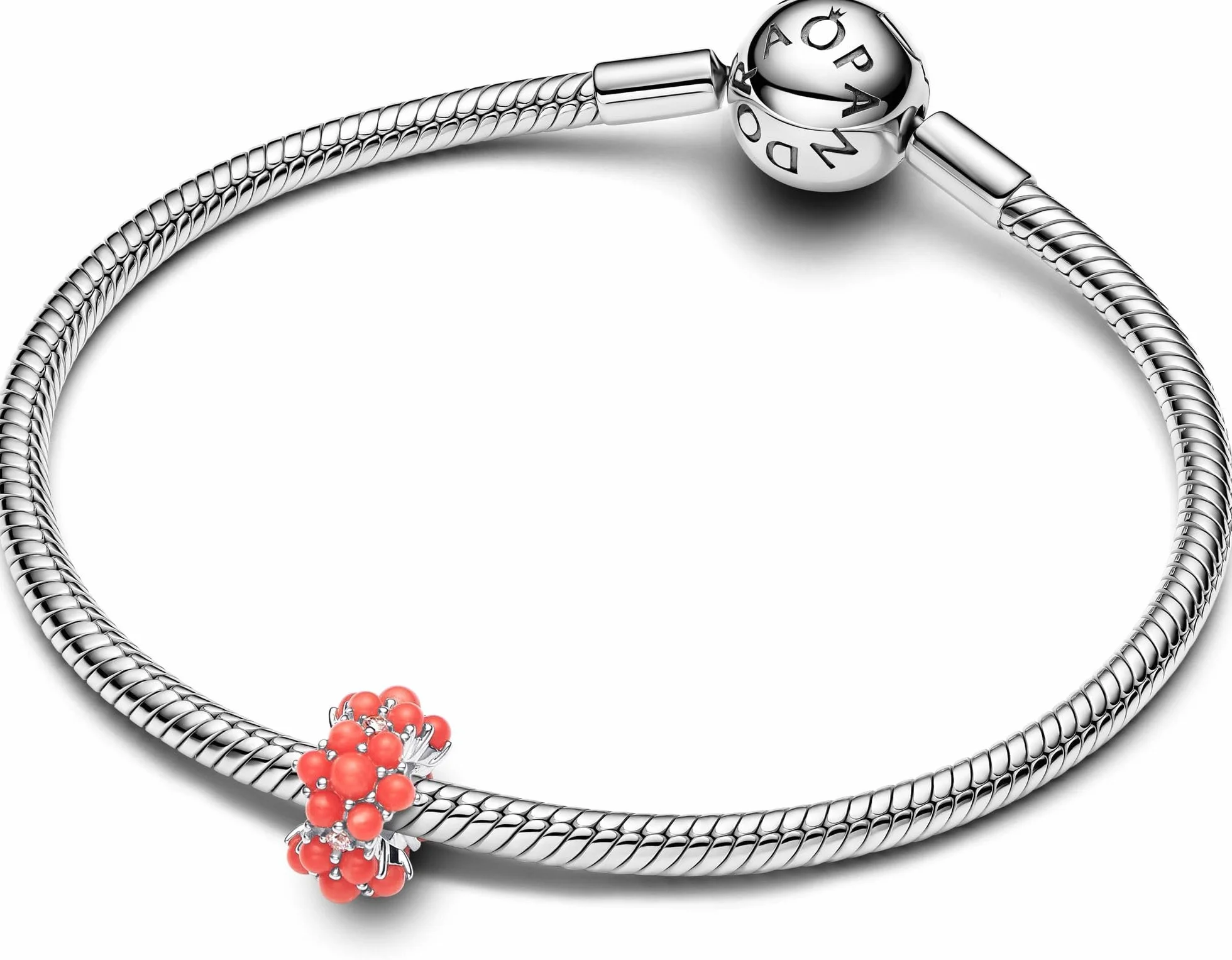 Pandora Srebro próby 925 793897C02