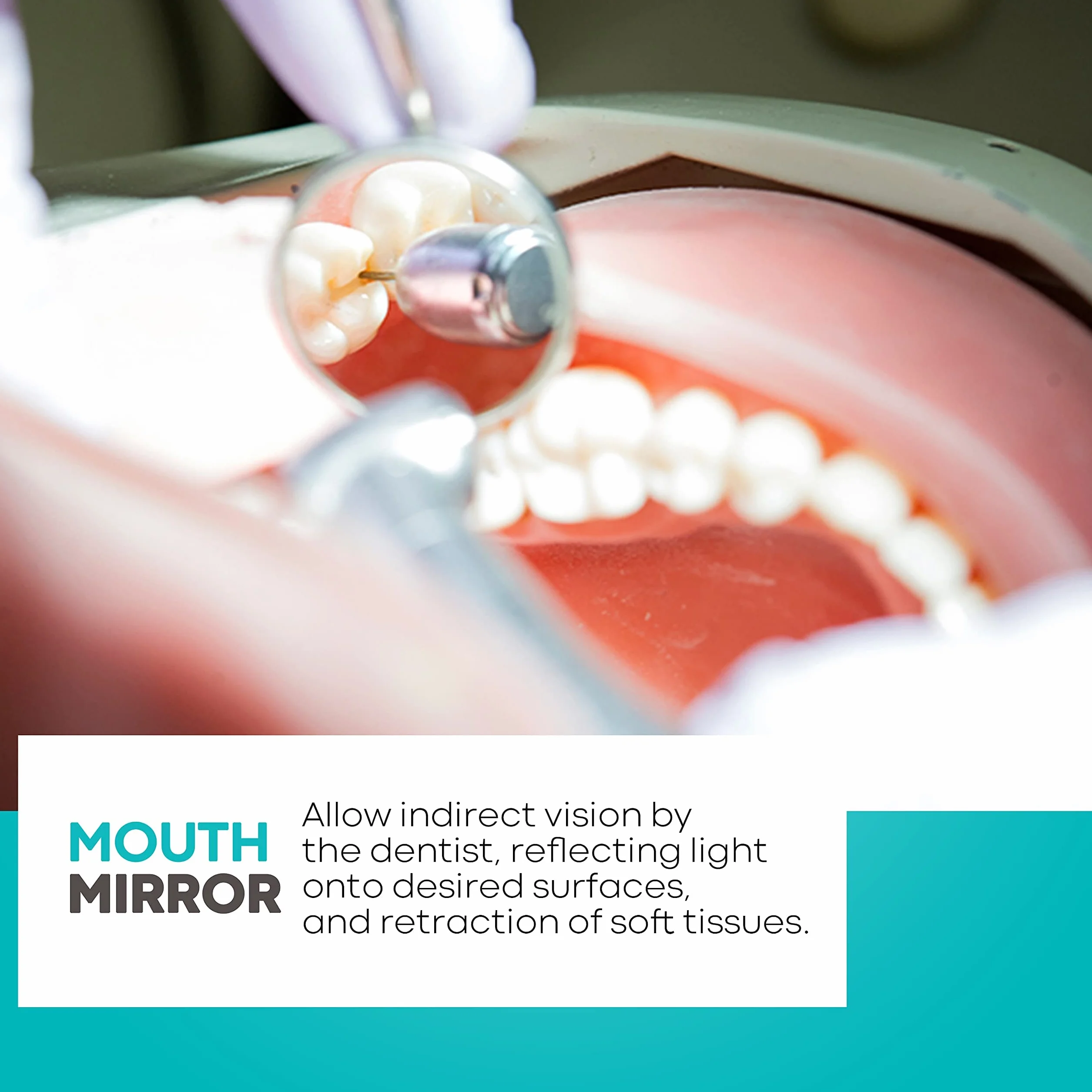 HOKIN Lustro dentystyczne ze stali nierdzewnej do kontroli zębów usta ze stali nierdzewnej lustro dentystyczne narzędzie stomatoskop z dwoma wymiennymi lustrami (lustro nr 5, uchwyt 6,5 cala)