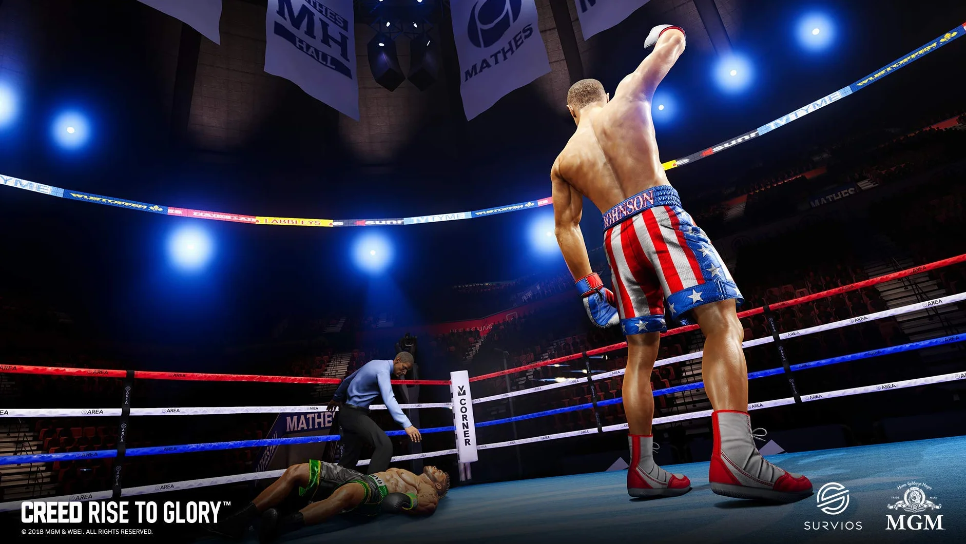 PERP CREED: RISE TO GLORY, PS4 STANDARD ANGLAIS PLAYSTATION 4