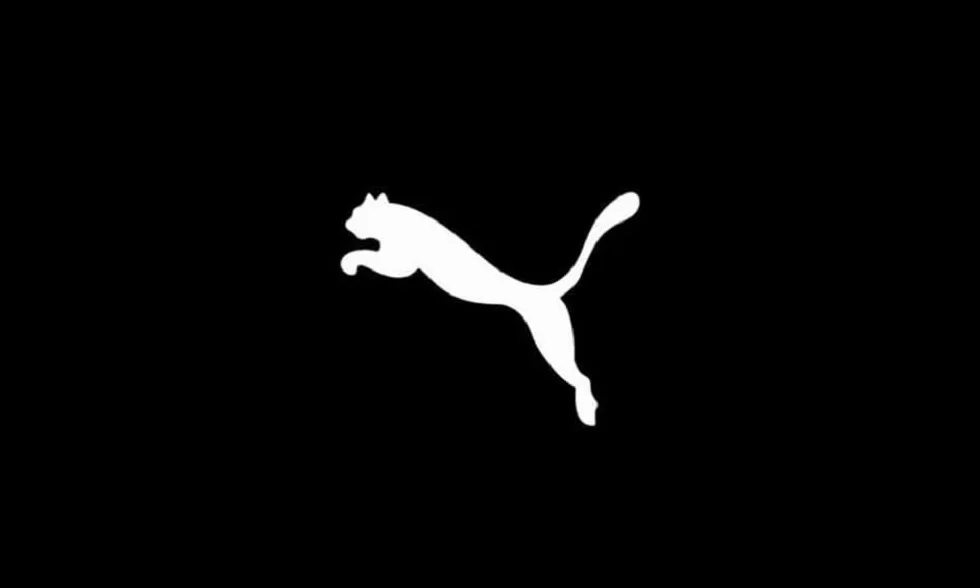 PUMA Teamgoal 23 Casuals Hoody Jr Bluza z kapturem Uniseks - dzieci