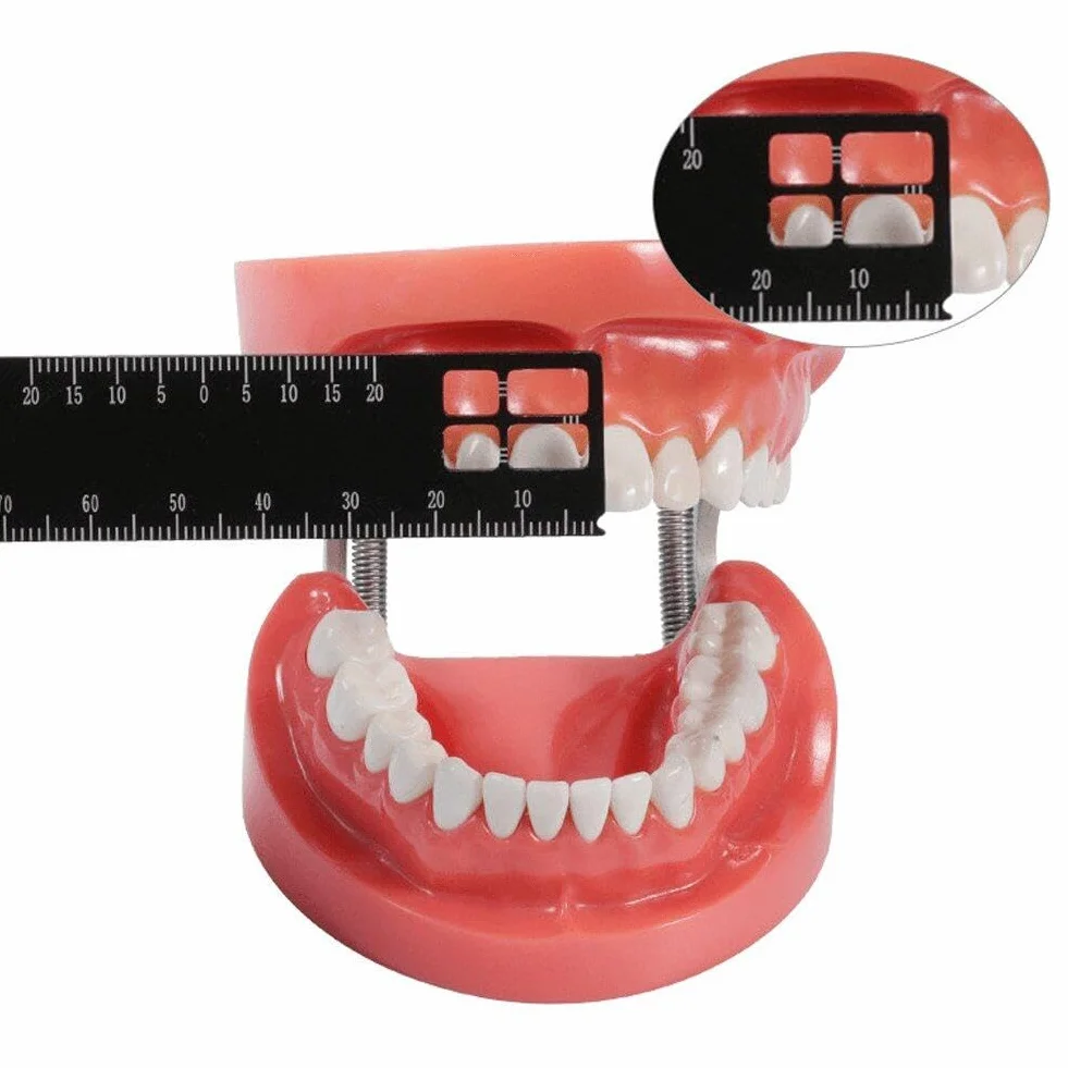 Dentystyczna precyzyjna linijka pomiarowa Endodontic Span Measure Scale Dwustronna linijka pomiarowa Narzędzie dentystyczne do stomatologii