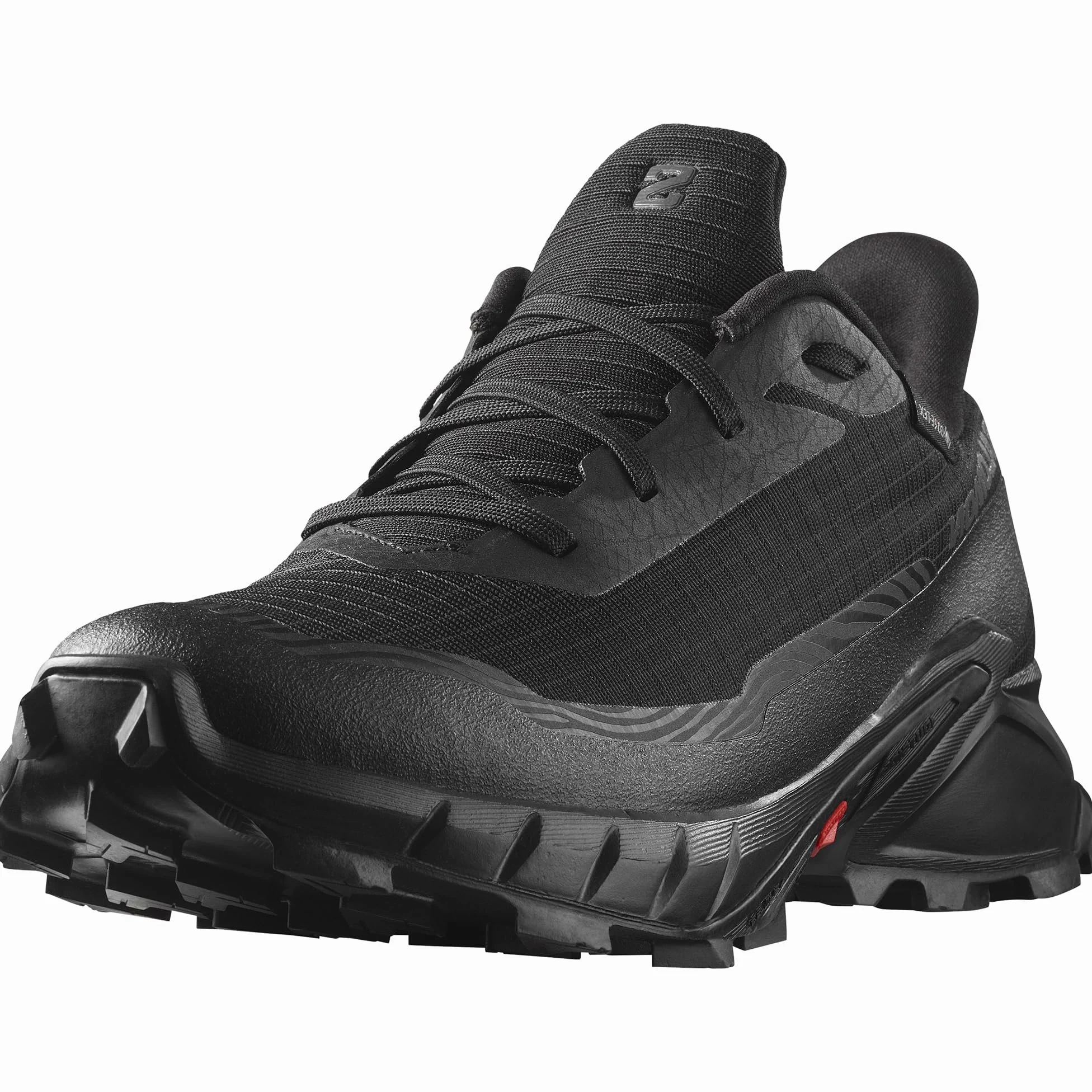 Salomon Mężczyźni Alphacross 5 Gore-texButy trekkingowe