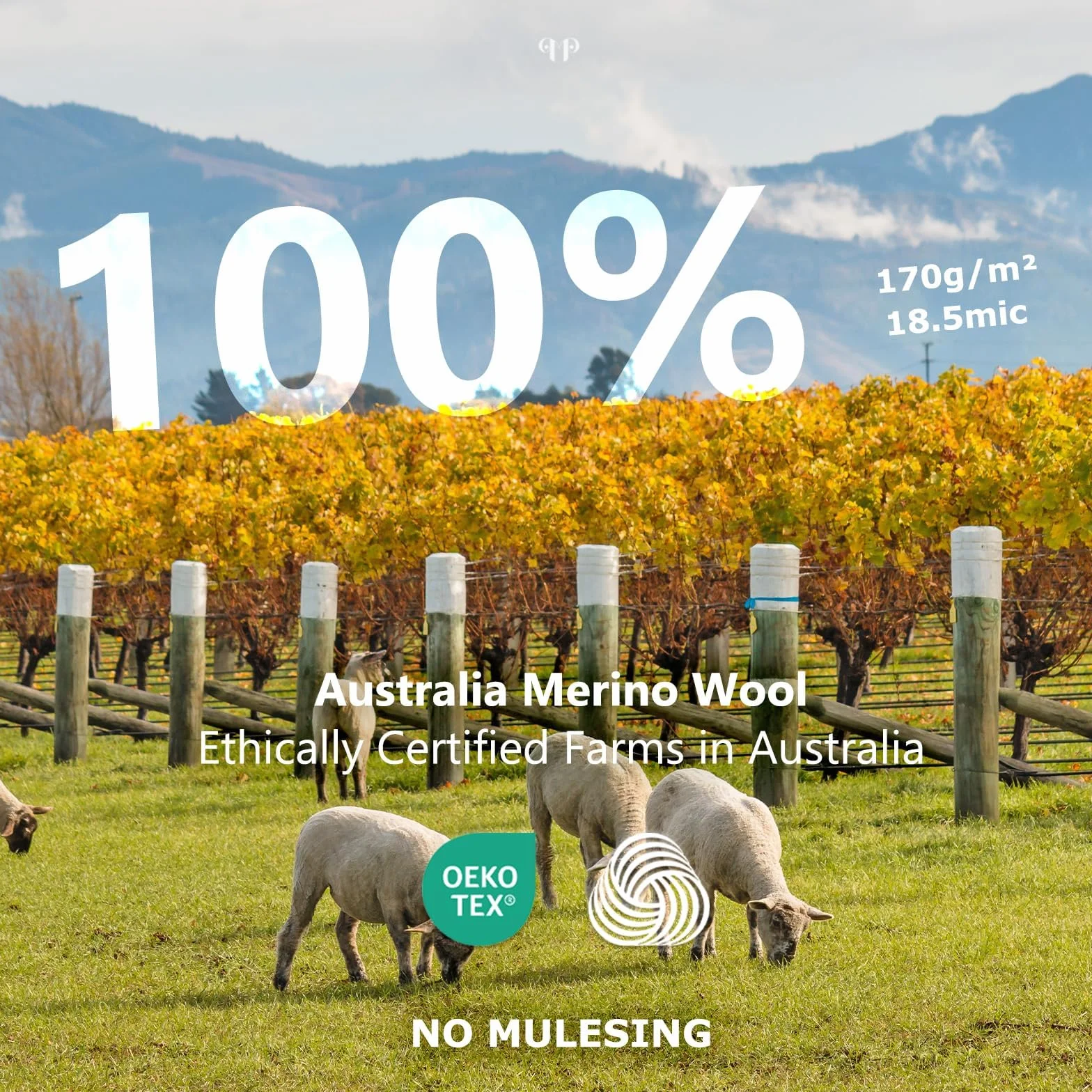Merino Protect 100% Wełna Merino Damska Bielizna Termiczna Lekka Miękka Koszula Z Długim Rękawem Odpowiednia Do Wędrówek I Narciarstwa