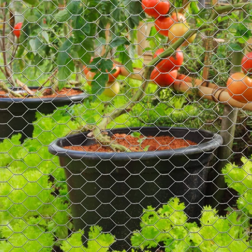 Amagabeli Garden Home 1 m x 25 m ocynkowana sześciokątna siatka druciana płot gorący drut z kurczaka 40 mm siatka 0,9 mm średnica siatka drobiowa królik pies sprzęt tkanina obudowa dla zwierząt DA135