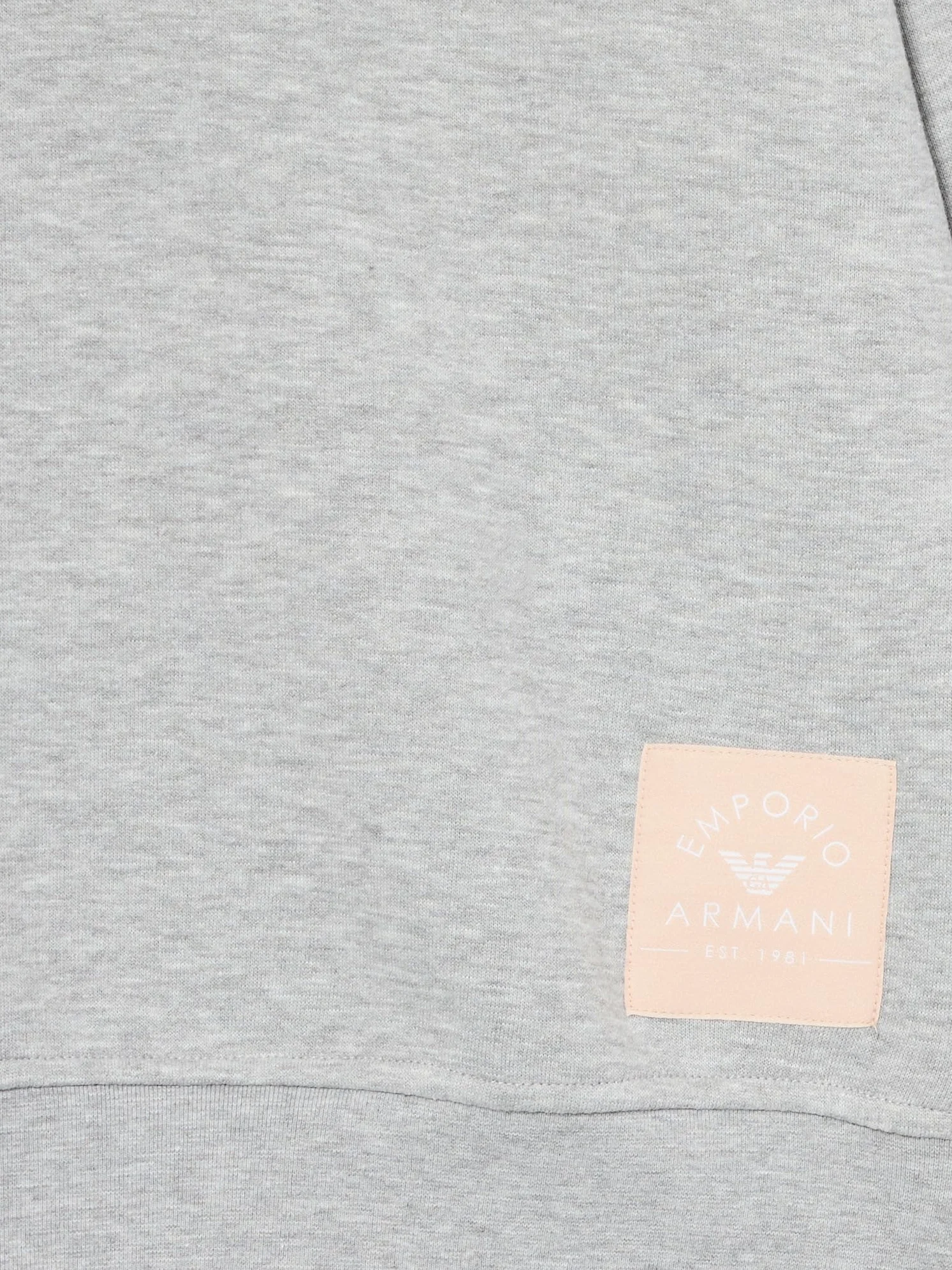 Emporio Armani Sweatshirt Kobiety Iconic Terry Loungewear Tracksuit