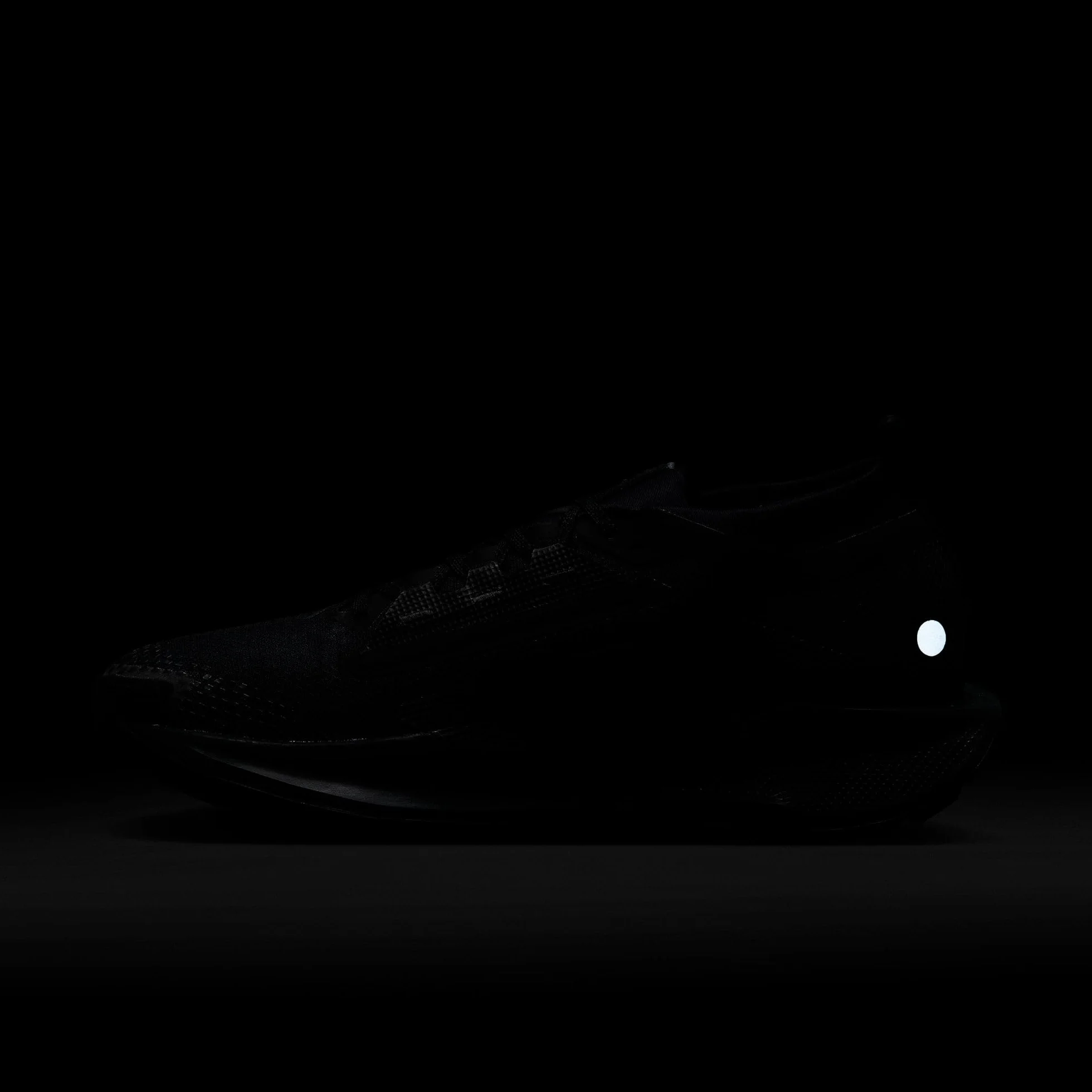 NIKE Mężczyźni Nike Pegasus Trail 5 Gore-texButy sportowe