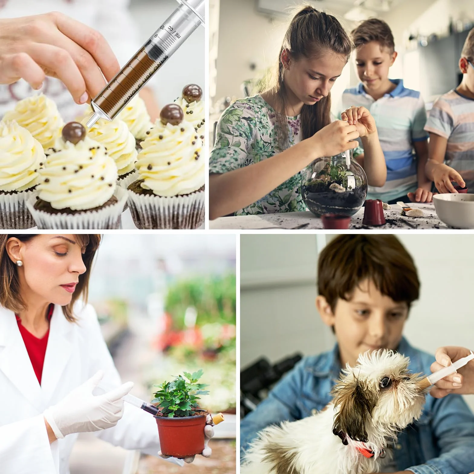 24 plastikowe strzykawki 2,5 ml, jednorazowe strzykawki z pokrywką, strzykawki z tworzywa sztucznego, sterylne opakowanie, strzykawka bez igły, do laboratoriów naukowych, pomiarów, podlewania,