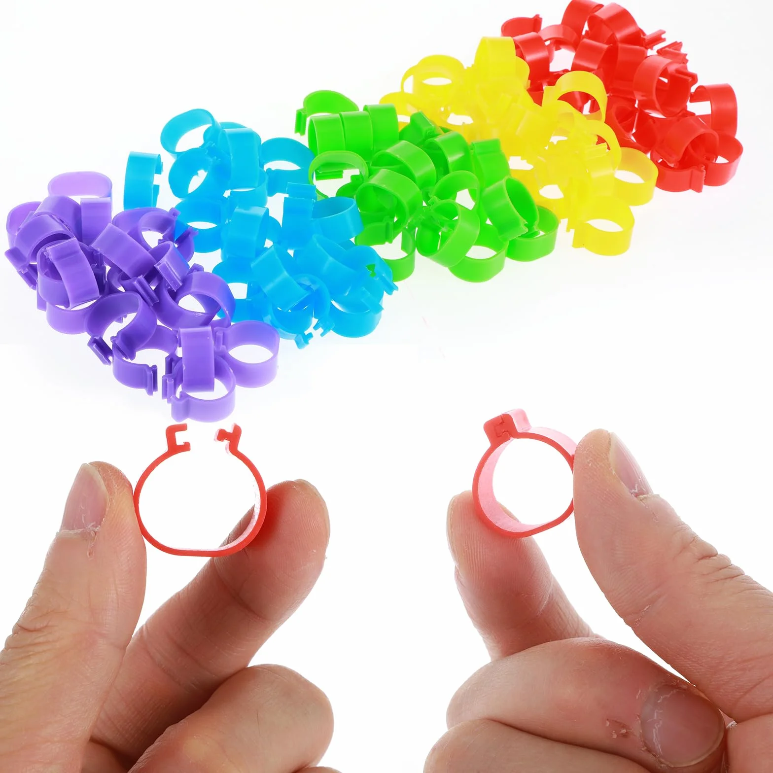 Pierścienie na udka kurczaka, 16 mm, kolorowe identyfikacyjne zawieszki do kurczaka, na nogi, klipsy do kaczek, przepiórek, piskląt, gęsi, ptactwa żółtego, indyka (5 kolorów)