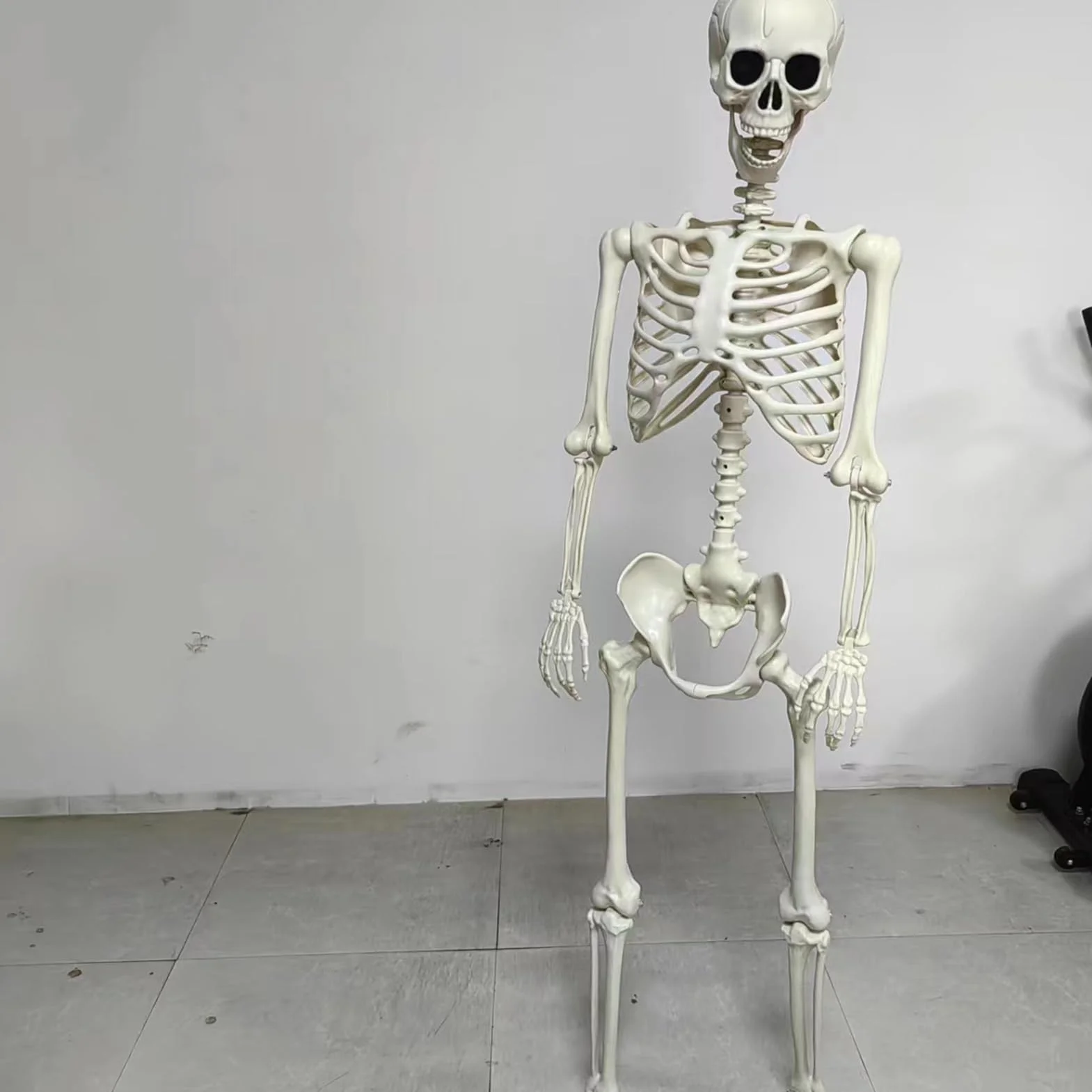 Dekoracja szkieletu – naturalnej wielkości Halloween szkielet dekoracja z ruchomymi przegubami – straszna czaszka ozdoba na grób do domu duchów, ogrodu, dekoracja stołu, na imprezę