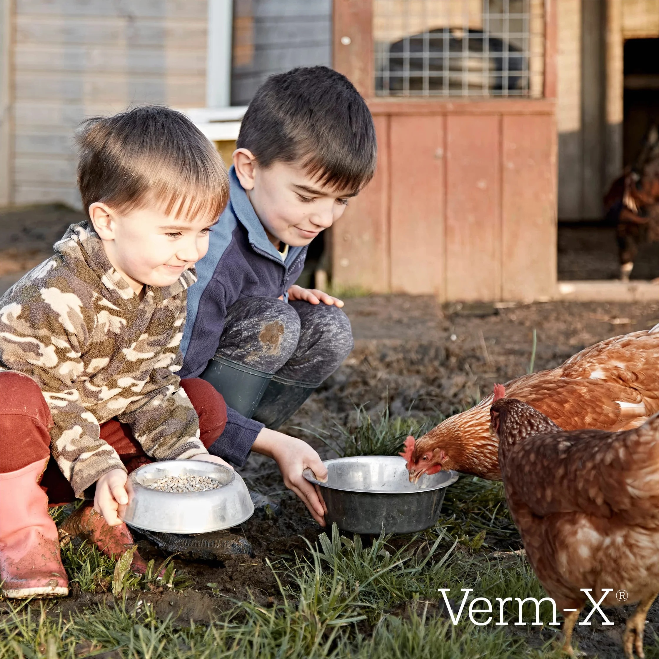 Verm-X Płyn do drobiu, 250 ml. Zamiast chemicznych kuracji dla kur, gęsi, kaczek itd. Naturalna kontrola wewnętrznych pasożytów o sprawdzonej recepturze Verm-X.