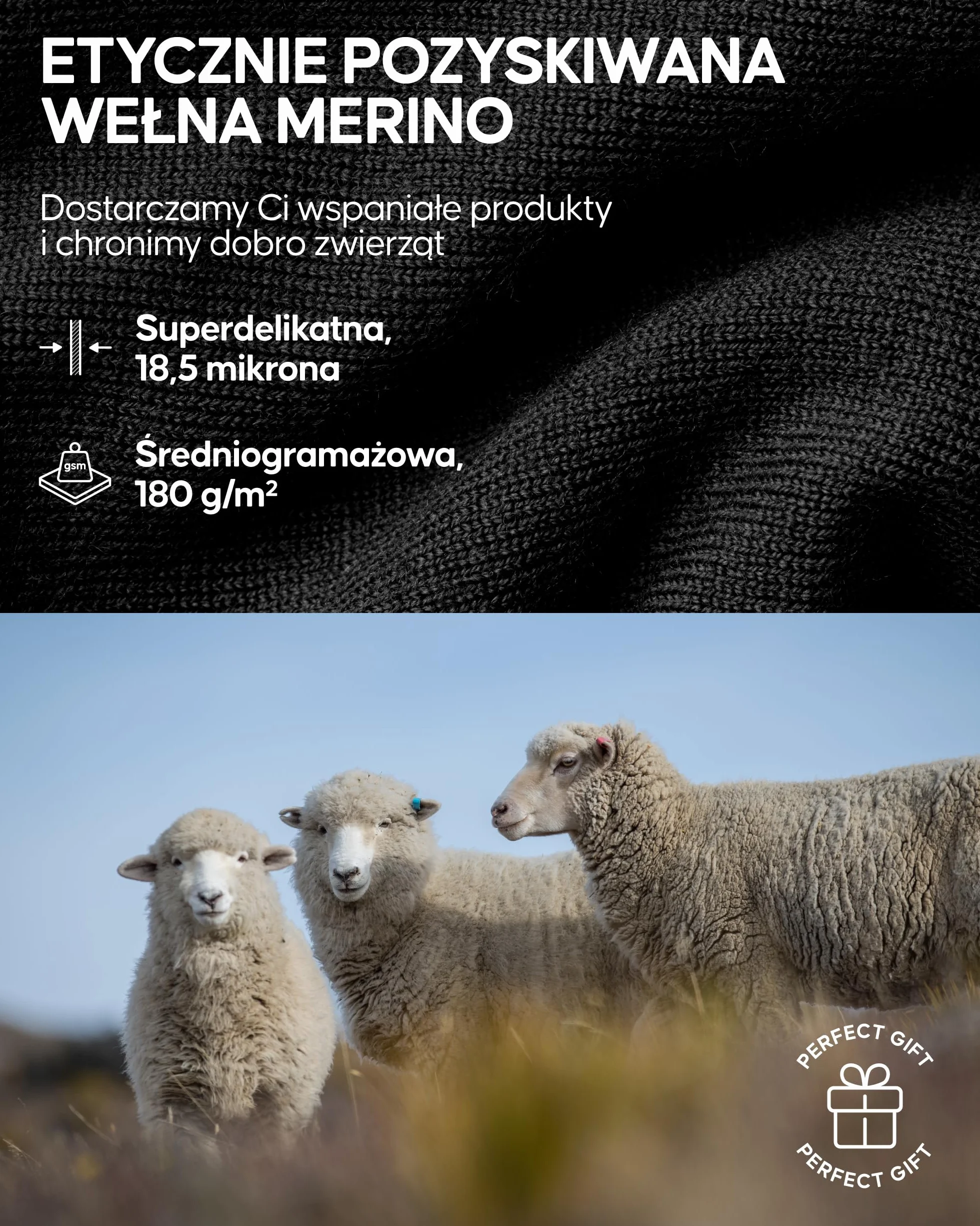 DANISH ENDURANCE Damskie Koszulki Merino Termoaktywne z Długim Rękawem, Bielizna Termoaktywna, Bluzki Termiczne dla Kobiet, Bielizna Zimowa