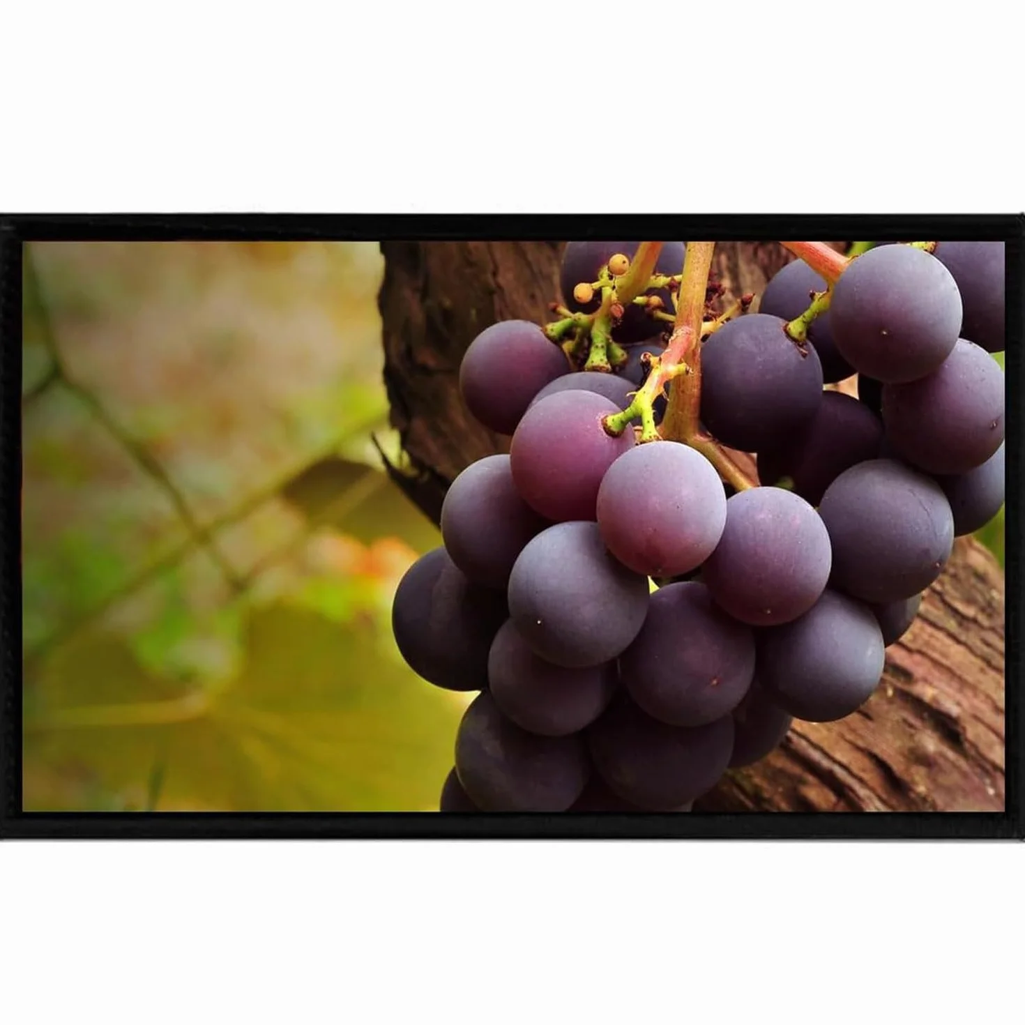 Wyświetlacz Cyfrowy Do Reklamy 27" Smukły Bezramkowy Komercyjny Monitor LCD