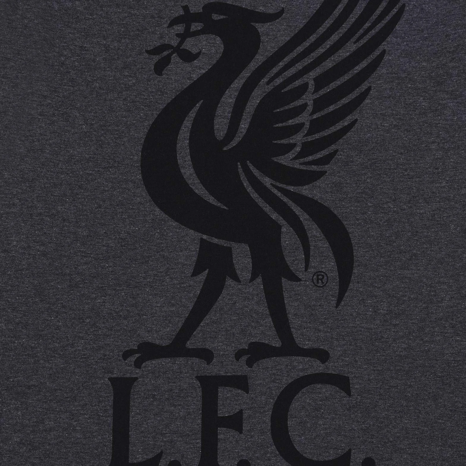 Liverpool FC męska piżama krótka odzież domowa