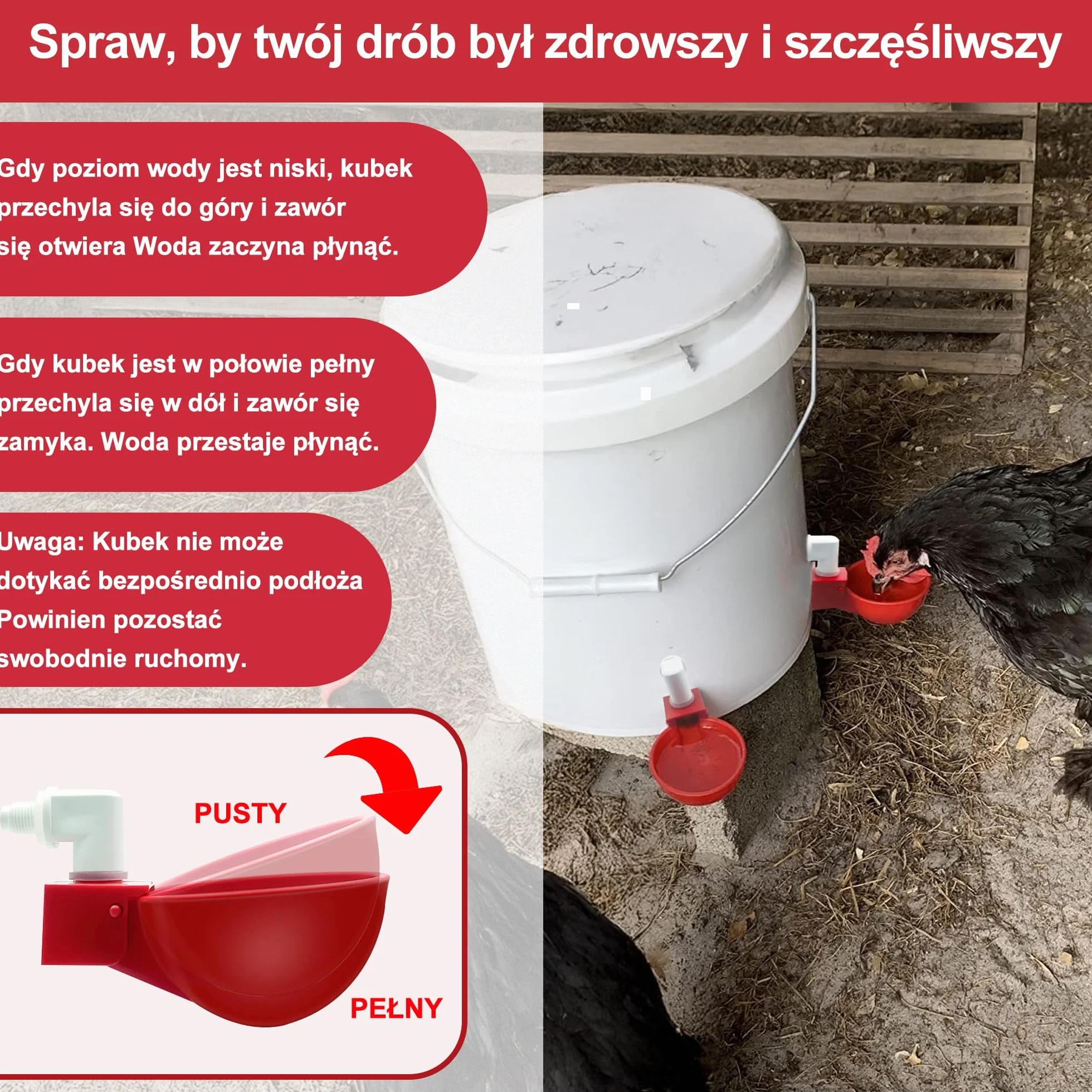 ZenxyHoC Poidło dla Kurcząt DIY - 6 Sztuk Kubków na Wodę, Dozownik z Głowicą do Odprowadzania, Automatyczny Zestaw dla Kur, Kaczek, Gęsi, Indyków