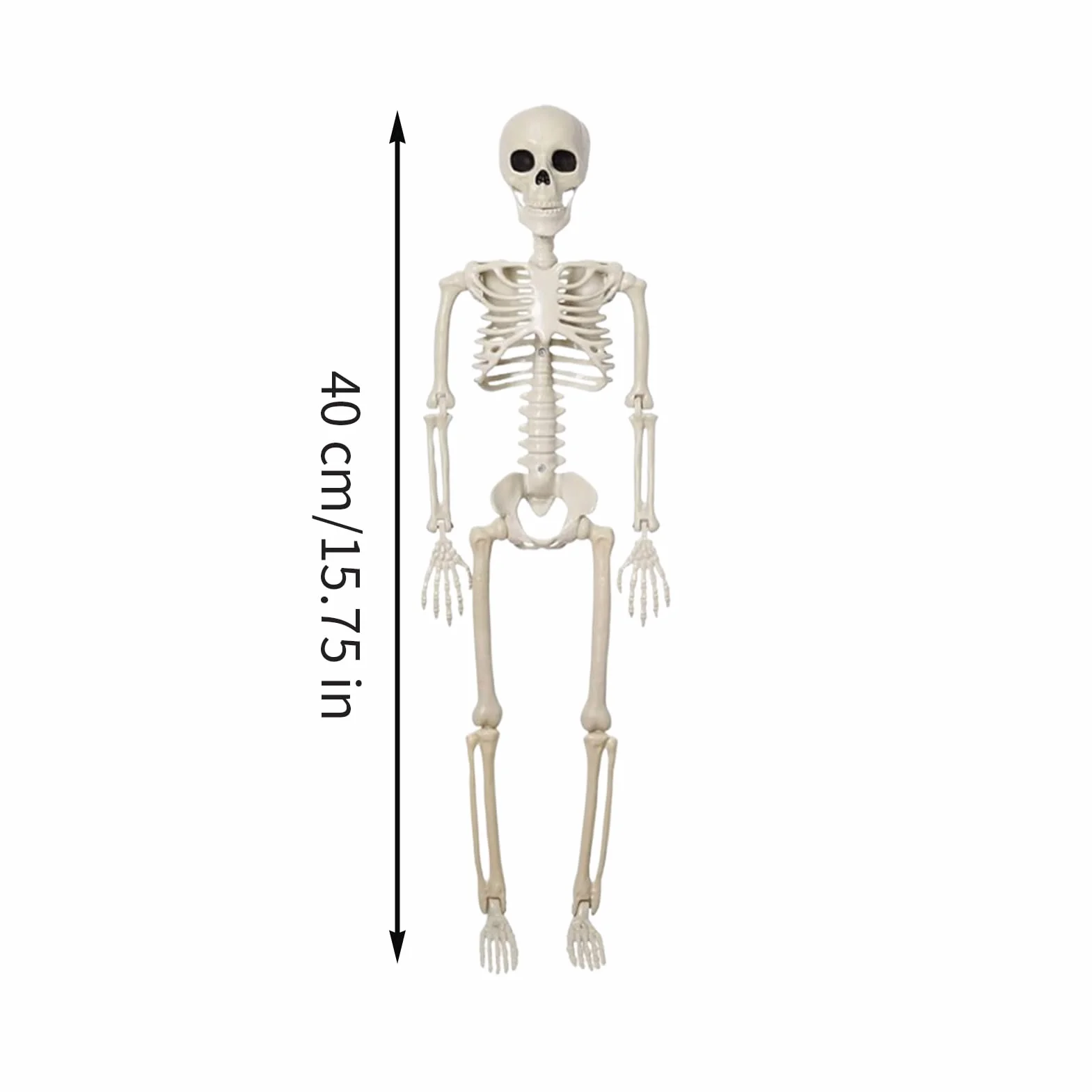 Dekoracja szkieletu – naturalnej wielkości Halloween szkielet dekoracja z ruchomymi przegubami – straszna czaszka ozdoba na grób do domu duchów, ogrodu, dekoracja stołu, na imprezę