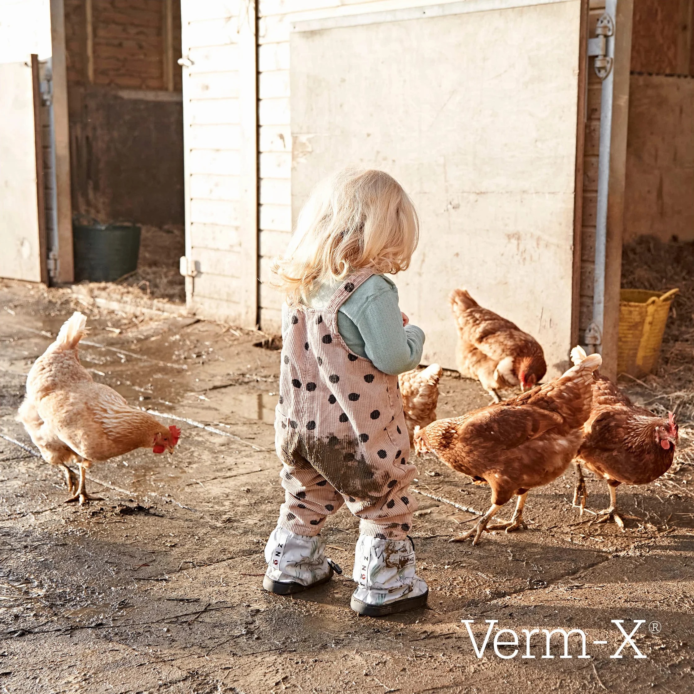 Verm-X Płyn do drobiu, 250 ml. Zamiast chemicznych kuracji dla kur, gęsi, kaczek itd. Naturalna kontrola wewnętrznych pasożytów o sprawdzonej recepturze Verm-X.