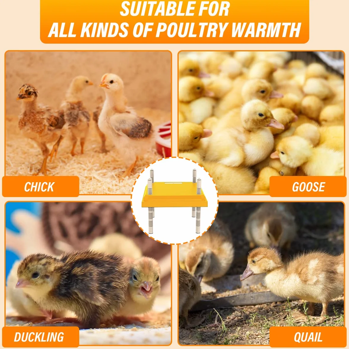 Chick Brooder Kit płyta grzewcza 40 x 30 cm, regulowana wysokość/temperatura, lampa grzewcza, maks. temperatura grzewcza 55℃/131°F, odpowiednia dla 15 piskląt (kolor europejski miernik kolorowy)