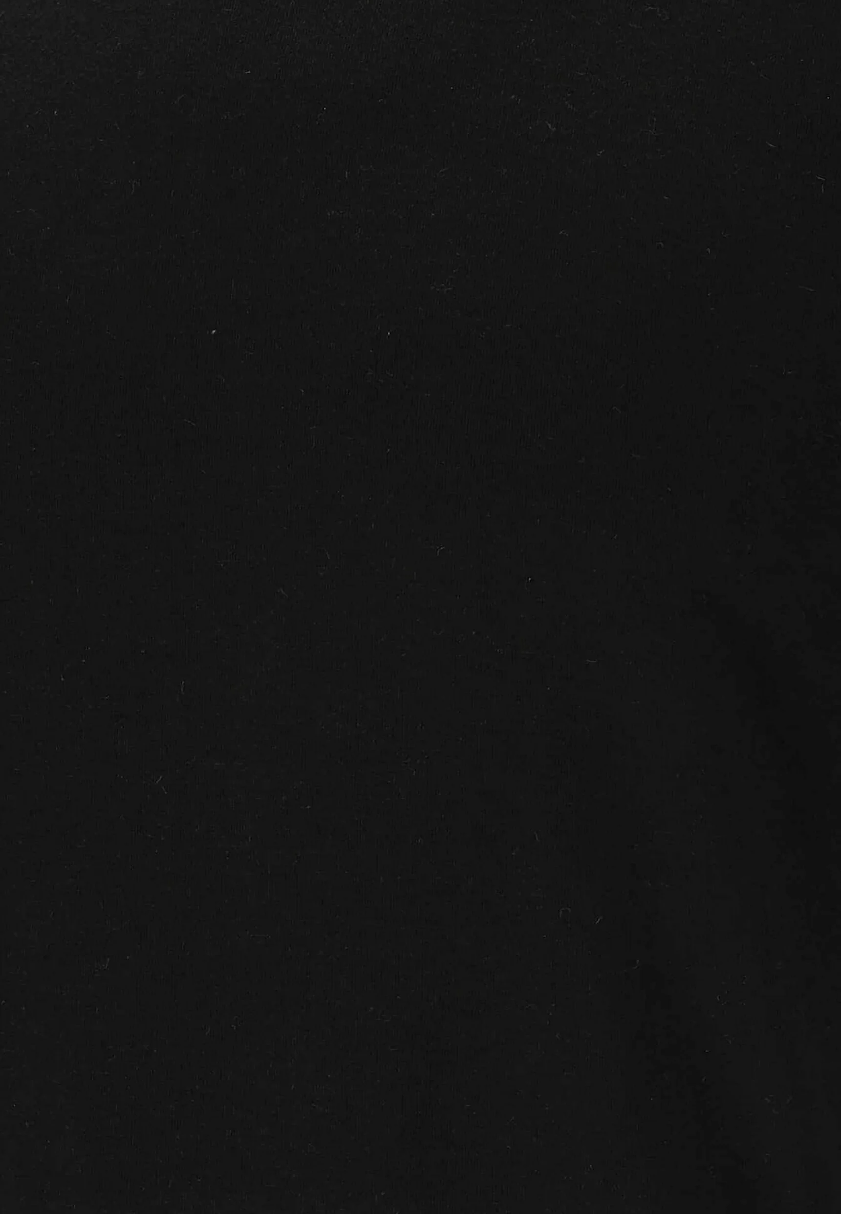 ENDURANCE Bluza Mężczyźni Ethow