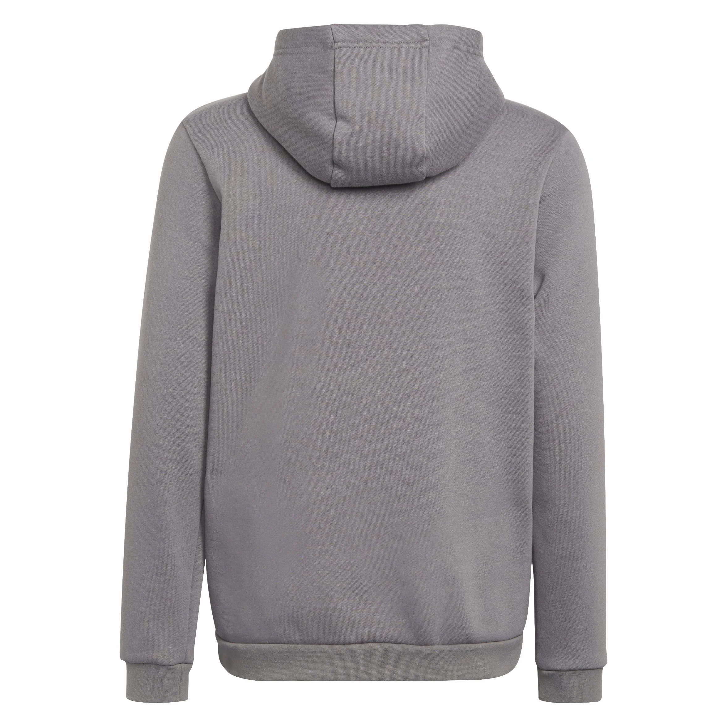 adidas Uniseks - dzieci Entrada 22 Sweat Hoodie, Team Grey Four, 11-12 Years