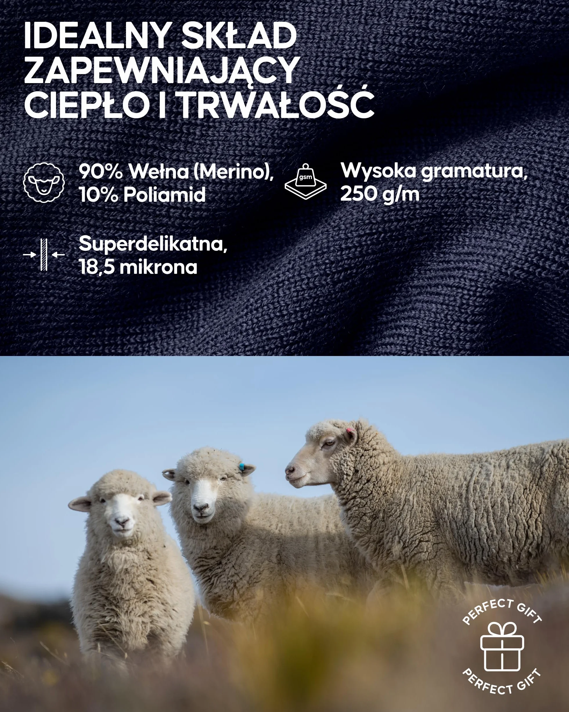 DANISH ENDURANCE Męska Koszulka Termoaktywna z Wełny Merino Ciemny Granatowy M