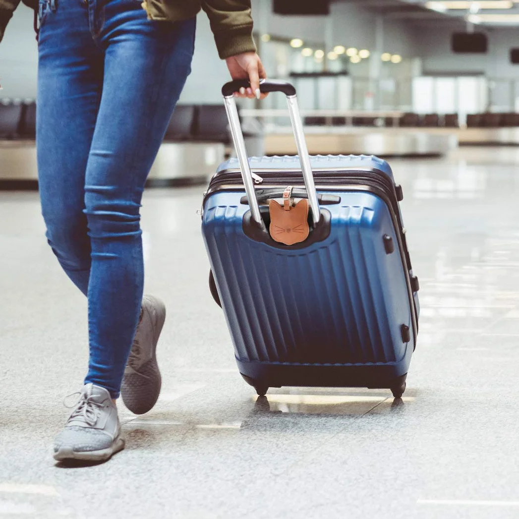 Zawieszki na bagaż typu kot, 2 sztuki, zawieszki do walizki z tabliczką adresową, zawieszki na bagaż, walizkę, breloczek z nazwiskiem, etykieta na nazwisko (zielono-brązowe)