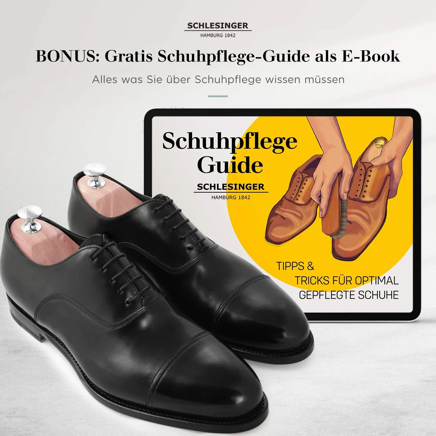 Schlesinger - Zwycięzca testu – męskie napinacze do butów premium ze szlachetnego drewna cedrowego dla optymalnej pielęgnacji butów – model Kaiser – w zestawie gratis e-book do pielęgnacji obuwia