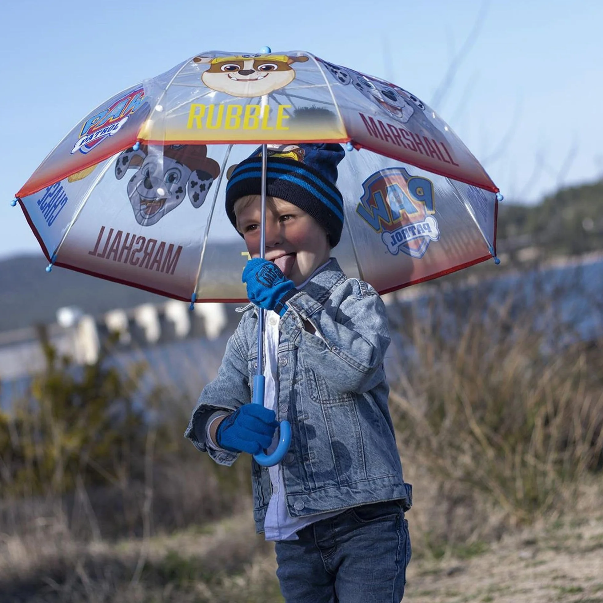 Cerdà Manual PO Bulle Paw Patrol Pemrilla