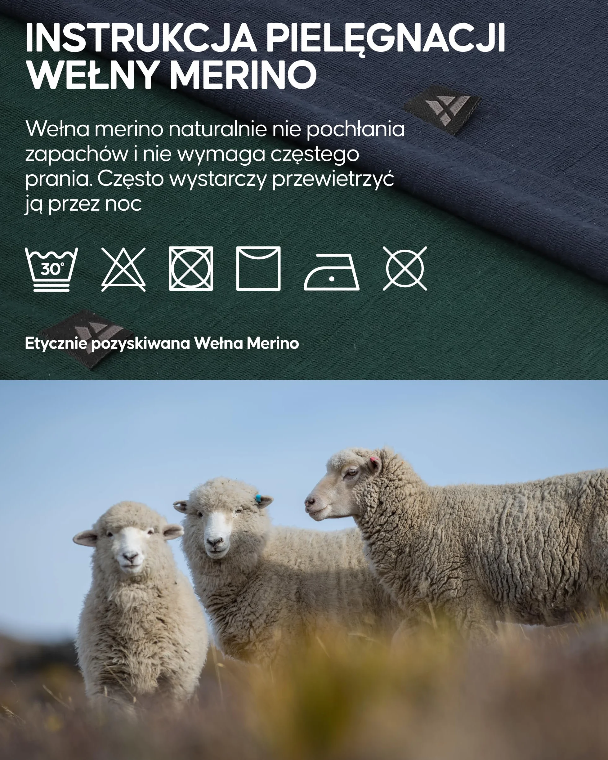 DANISH ENDURANCE Komin z 100% Wełny Merino, Lekka Kominiarka, Wielofunkcyjna Bandana, dla Mężczyzn i Kobiet, Unisex