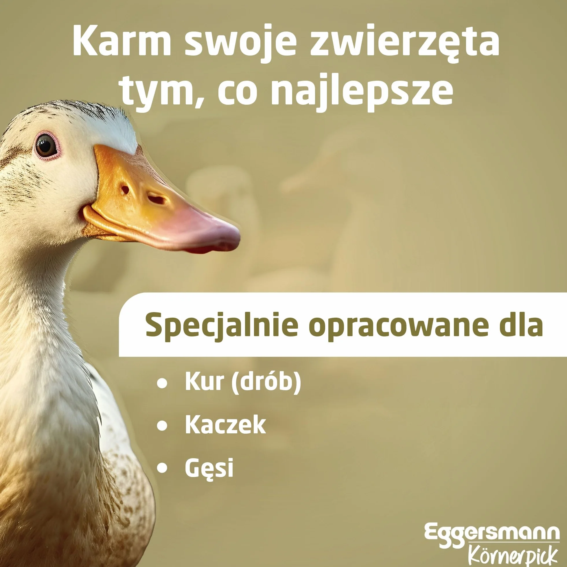 Eggersmann Körnerpick 5 kg karmy dla kur, mieszanka mąki oregano, mączka niosąca o naturalnej sile z oregano, mączka niosąca premium dla kur, gęsi i kaczek (5,00 kg (1 opakowanie))