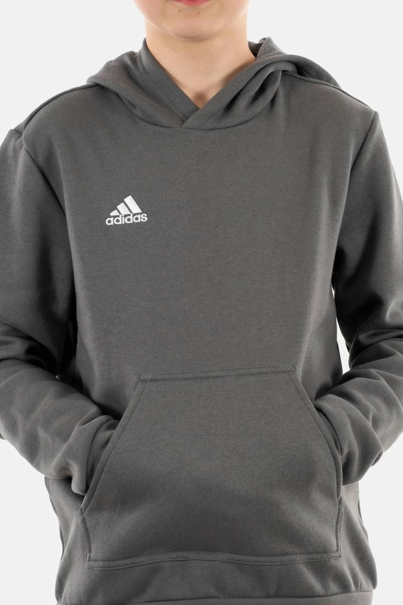 adidas Uniseks - dzieci Entrada 22 Sweat Hoodie, Team Grey Four, 11-12 Years