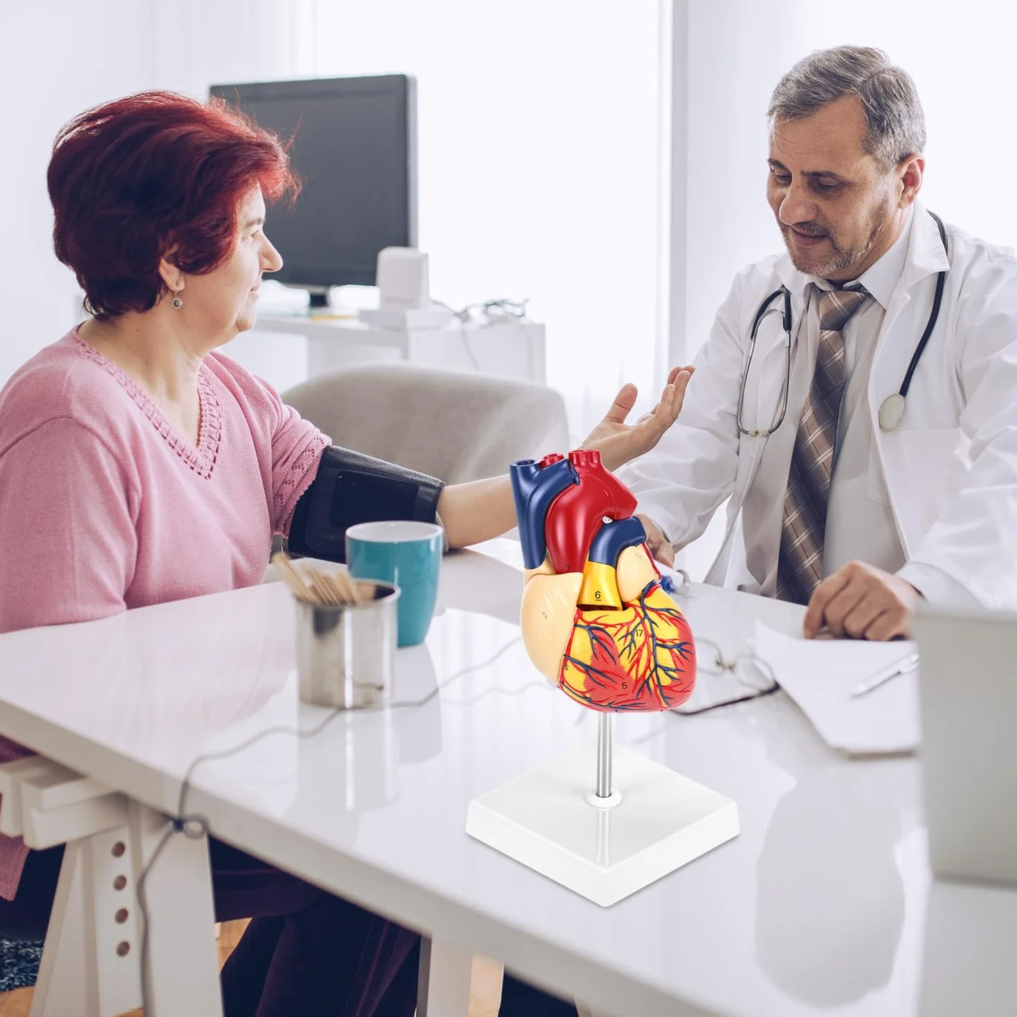 QWORK® Scientific Human Heart Model for Anatomy, 2-częściowe modele serca naturalnej wielkości z 34 oznaczeniami anatomicznymi i podstawą z PVC do lekcji szkolnych