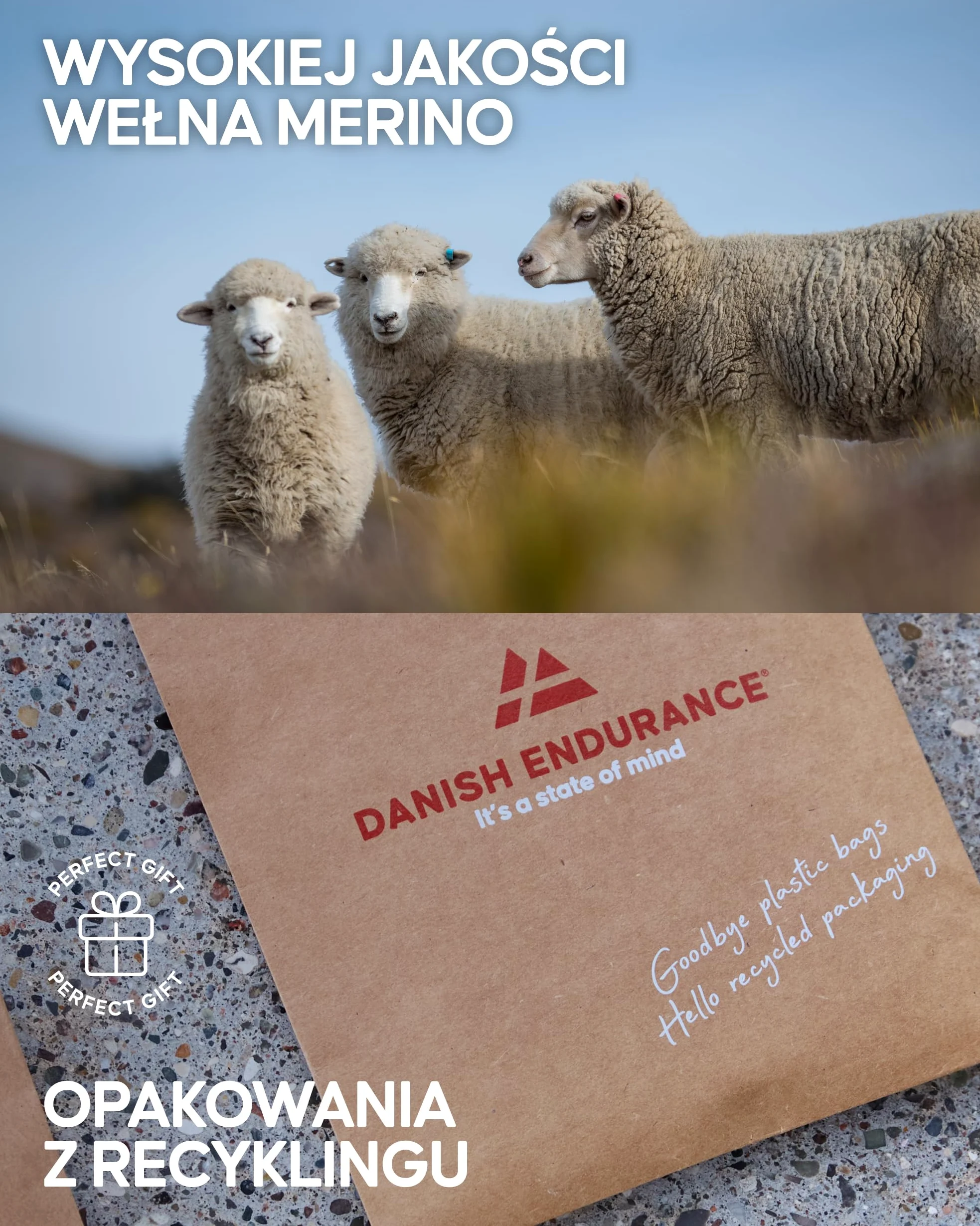 DANISH ENDURANCE Skarpety Trekkingowe z Wełny Merino z Amortyzacją, Oddychające, Przeciw Pęcherzom, dla Mężczyzn i Kobiet, Unisex