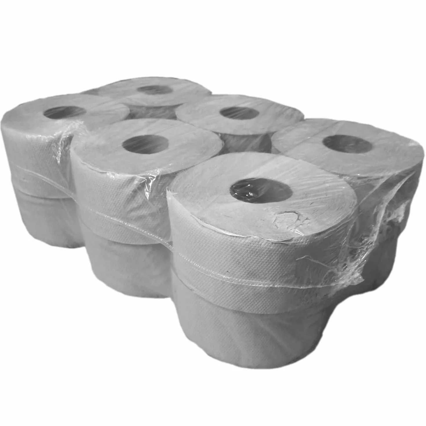 Netuno 12 x papier toaletowy duży rolka, papier toaletowy do uchwytu, podajnik, szary, 1-warstwowy, do toalety toaletowej, czyszczenia toalety
